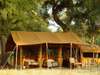 Chada Katavi - tent